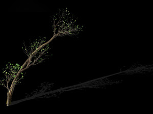 green plants-landscape-small tree 59 3D 模型