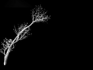 green plants-landscape-small tree 59 3D 模型
