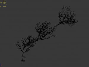 green plants-landscape-small tree 59 3D Model