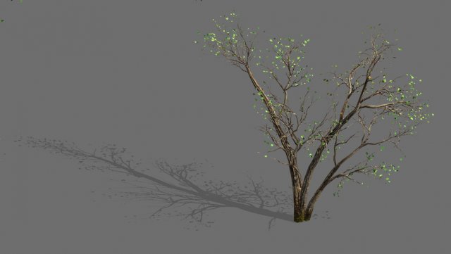 green plants-landscape-small tree 60 3D 模型 .c4d .max .obj .3ds .fbx .stl .blend 
