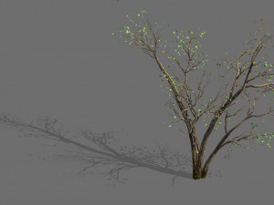 green plants-landscape-small tree 60 3D Model