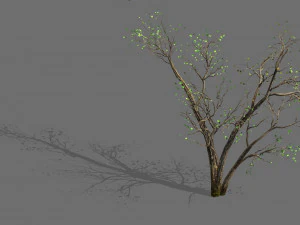 녹색 식물-풍경-작은 나무 60 3D 모델