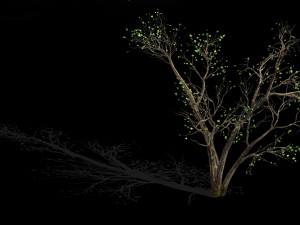green plants-landscape-small tree 60 3D 模型