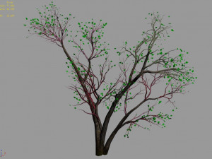 green plants-landscape-small tree 60 3D 模型