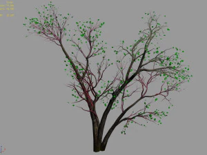 green plants-landscape-small tree 60 3D Model