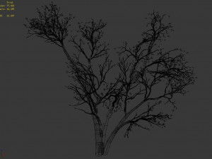 green plants-landscape-small tree 60 3D 模型