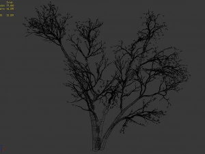 green plants-landscape-small tree 60 3D Model