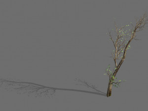 green plants-landscape-small tree 61 3D 모델