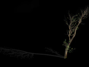 green plants-landscape-small tree 61 3D Model