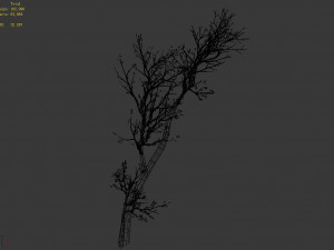 green plants-landscape-small tree 61 3D Модель
