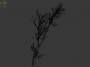 green plants-landscape-small tree 61 3D Model