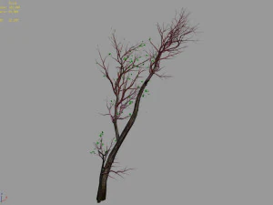 green plants-landscape-small tree 61 3D Model