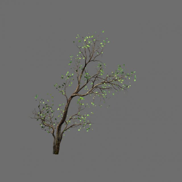 green plants-landscape-small tree 62 3D Модель .c4d .max .obj .3ds .fbx .stl .blend 