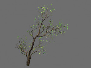green plants-landscape-small tree 62 3D Model