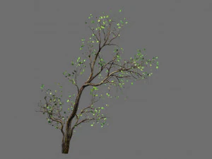 piante verdi-paesaggio-alberello 62 Modello 3D