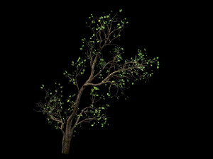 green plants-landscape-small tree 62 3D Модель