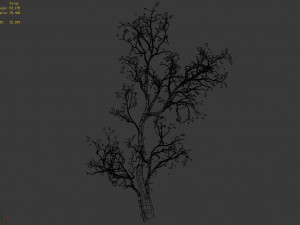 green plants-landscape-small tree 63 3D-Modell