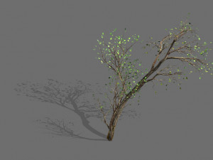 green plants-landscape-small tree 63 3D 모델