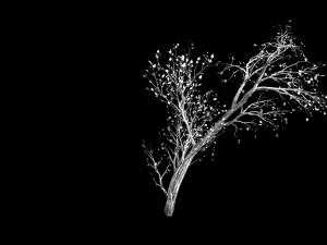 green plants-landscape-small tree 63 3D 모델