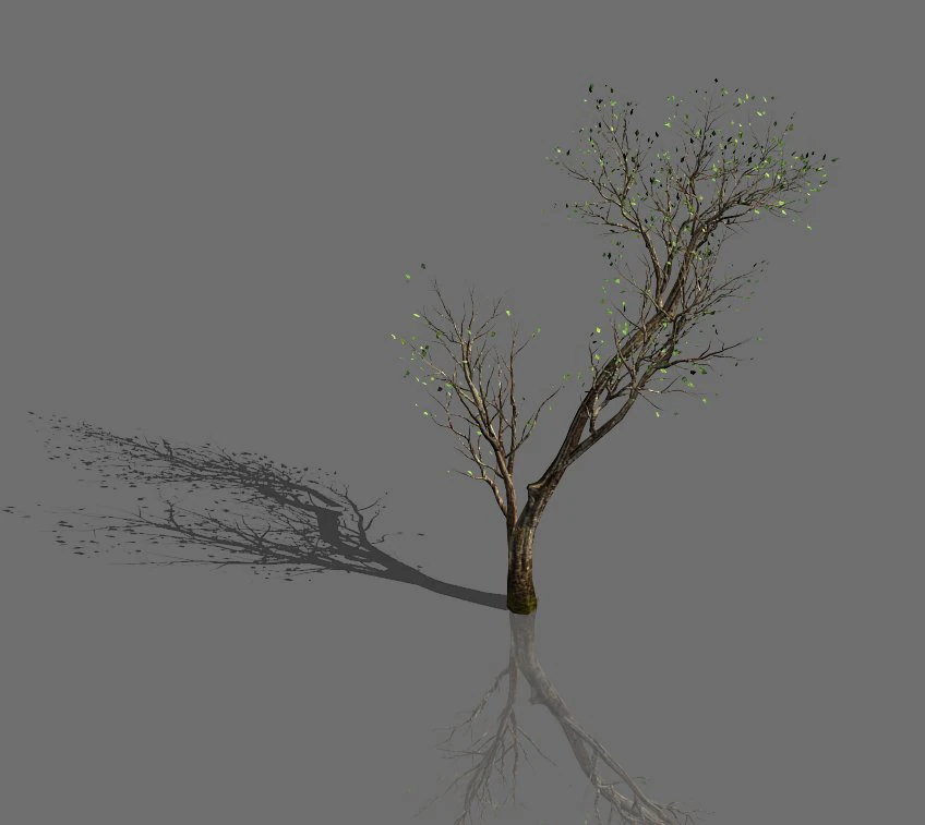 green plants-landscape-small tree 64 3D Model .c4d .max .obj .3ds .fbx .stl .blend