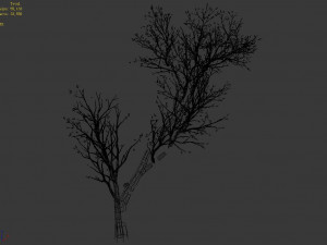 green plants-landscape-small tree 64 3D 模型