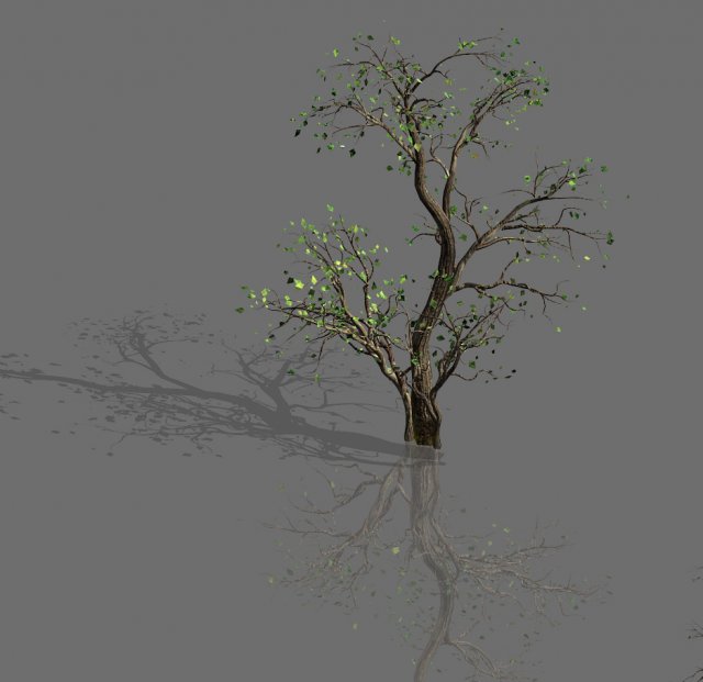 green plants-landscape-small tree 65 Modelo 3D .c4d .max .obj .3ds .fbx .stl .blend 