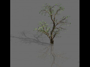 green plants-landscape-small tree 65 3D Model