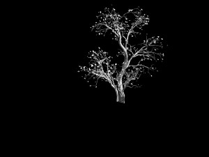 green plants-landscape-small tree 65 Modelo 3D