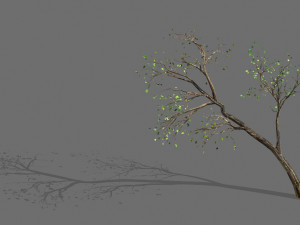 green plants-landscape-small tree 66 Model 3D