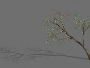Gr&uuml;npflanzen-Landschaft-kleiner Baum 66 3D Modell