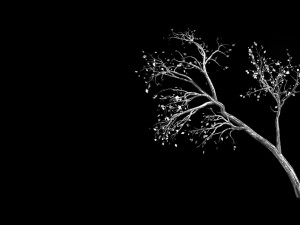 green plants-landscape-small tree 66 3D Model