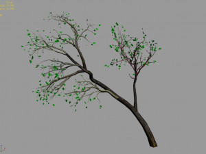 green plants-landscape-small tree 66 3D Model