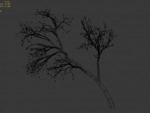 green plants-landscape-small tree 66 3D Model
