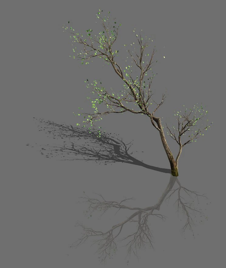 green plants-landscape-small tree 67 3D Model .c4d .max .obj .3ds .fbx .stl .blend 