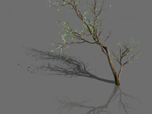 green plants-landscape-small tree 67 3D Model
