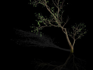 green plants-landscape-small tree 67 3D Model