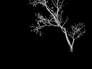 green plants-landscape-small tree 67 3D Model