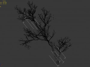 green plants-landscape-small tree 67 3D Model