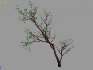 green plants-landscape-small tree 67 3D Model