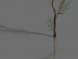 plantas verdes-paisagem-pequena &aacute;rvore 68 Modelo 3D