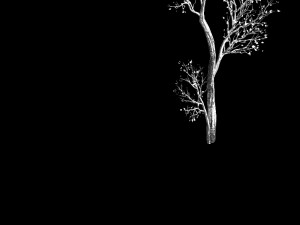 green plants-landscape-small tree 68 3Dモデル