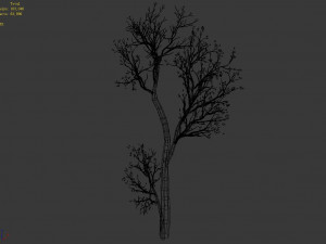 green plants-landscape-small tree 68 3Dモデル