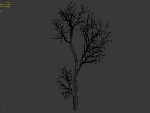 green plants-landscape-small tree 68 3D Model