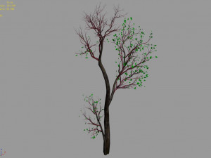 green plants-landscape-small tree 68 3Dモデル