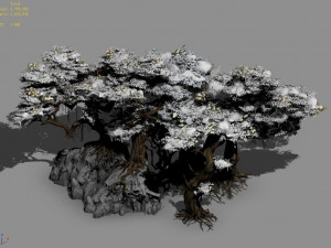 nuwa-snow populus 12 Modelo 3D