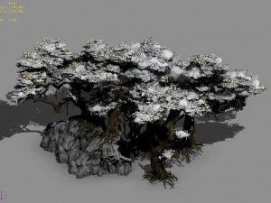 nuwa-snow populus 12 3D Model