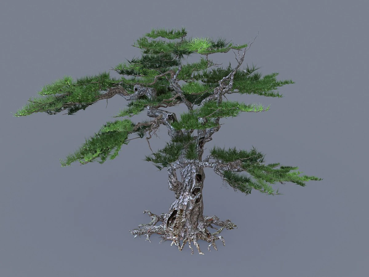 mount putuo-pine 11 3D Model .c4d .max .obj .3ds .fbx .stl .blend 