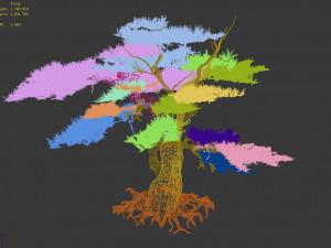 mount putuo-pine 11 Modello 3D