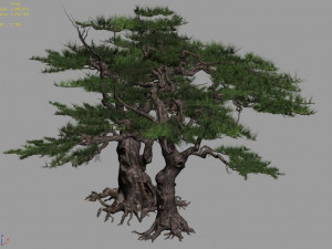 mount putuo-pine 16 Modèle 3D