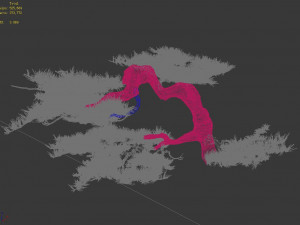 mount putuo-pine 16 Modèle 3D